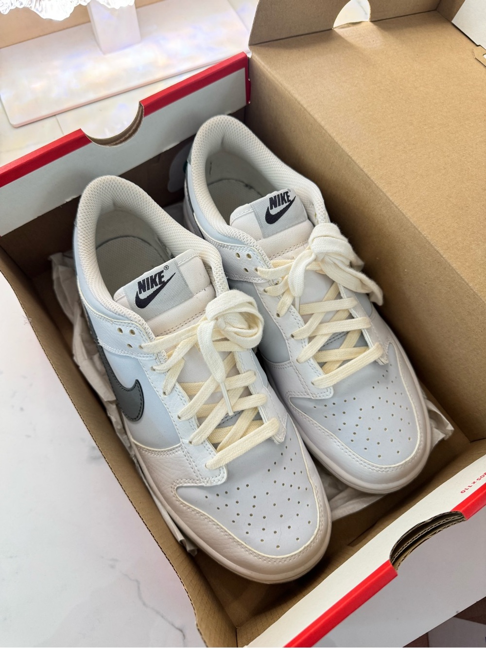 Nike Low Dunks